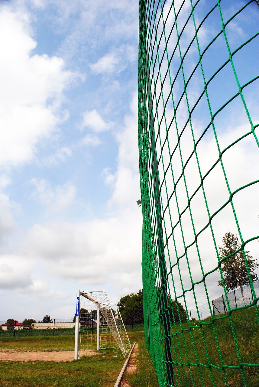 无外乎一种 无外乎一种