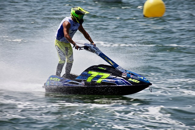 一个鲜明的 一个鲜明的