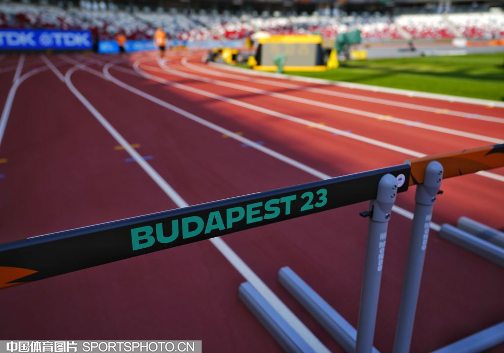 在比赛中 在比赛中