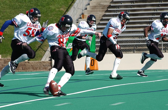 粉丝欢欣鼓 粉丝欢欣鼓